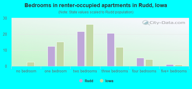 Bedrooms in renter-occupied apartments in Rudd, Iowa