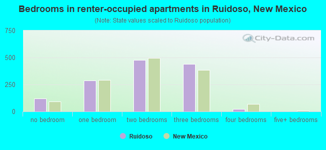 Bedrooms in renter-occupied apartments in Ruidoso, New Mexico