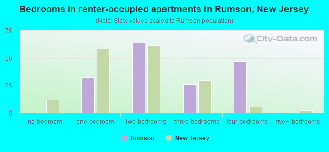Bedrooms in renter-occupied apartments in Rumson, New Jersey