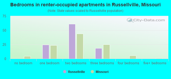 Bedrooms in renter-occupied apartments in Russellville, Missouri
