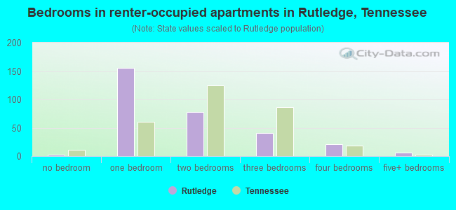 Bedrooms in renter-occupied apartments in Rutledge, Tennessee