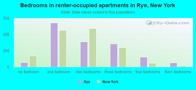 Bedrooms in renter-occupied apartments in Rye, New York