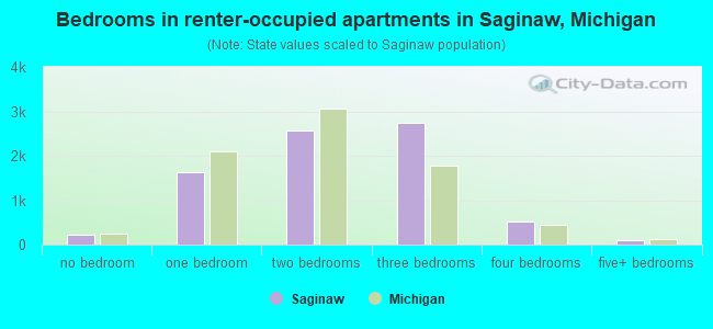 Bedrooms in renter-occupied apartments in Saginaw, Michigan