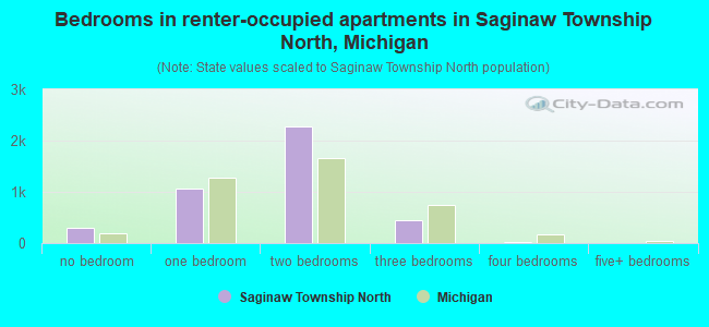 Bedrooms in renter-occupied apartments in Saginaw Township North, Michigan