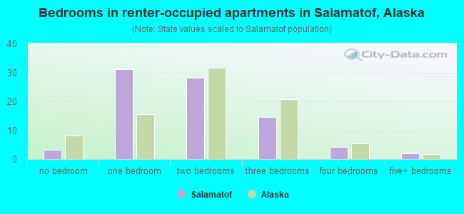 Bedrooms in renter-occupied apartments in Salamatof, Alaska