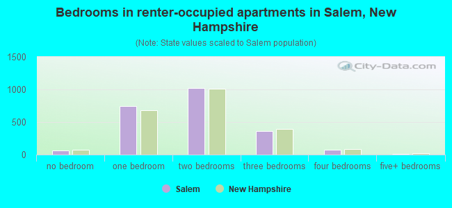 Bedrooms in renter-occupied apartments in Salem, New Hampshire