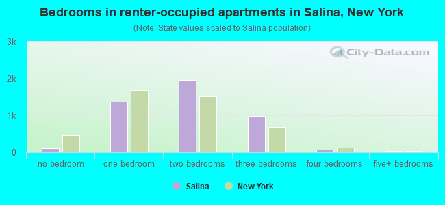 Bedrooms in renter-occupied apartments in Salina, New York