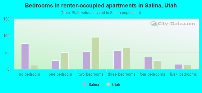 Bedrooms in renter-occupied apartments in Salina, Utah