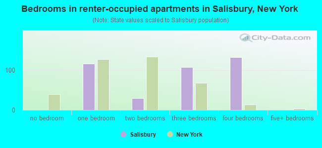 Bedrooms in renter-occupied apartments in Salisbury, New York