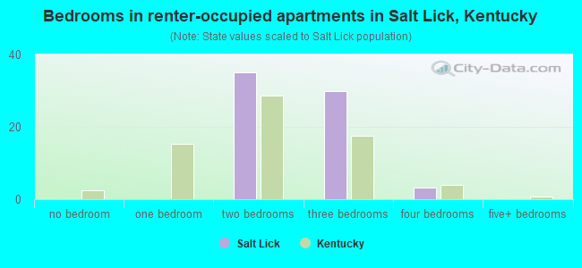 Bedrooms in renter-occupied apartments in Salt Lick, Kentucky