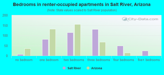 Bedrooms in renter-occupied apartments in Salt River, Arizona