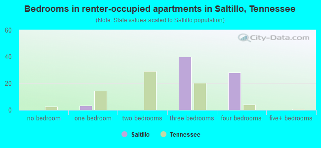 Bedrooms in renter-occupied apartments in Saltillo, Tennessee