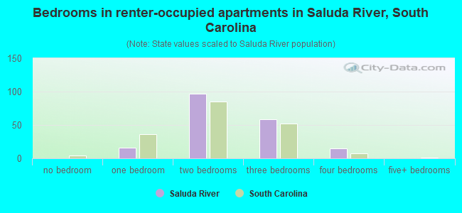 Bedrooms in renter-occupied apartments in Saluda River, South Carolina