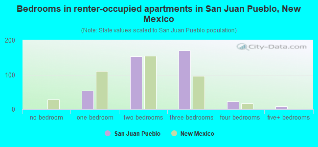 Bedrooms in renter-occupied apartments in San Juan Pueblo, New Mexico