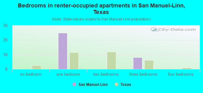 Bedrooms in renter-occupied apartments in San Manuel-Linn, Texas