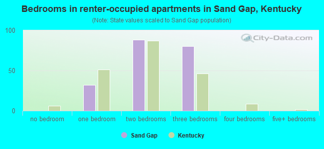 Bedrooms in renter-occupied apartments in Sand Gap, Kentucky