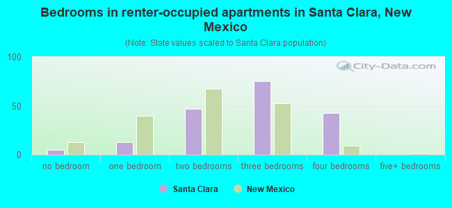 Bedrooms in renter-occupied apartments in Santa Clara, New Mexico