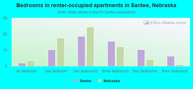 Bedrooms in renter-occupied apartments in Santee, Nebraska