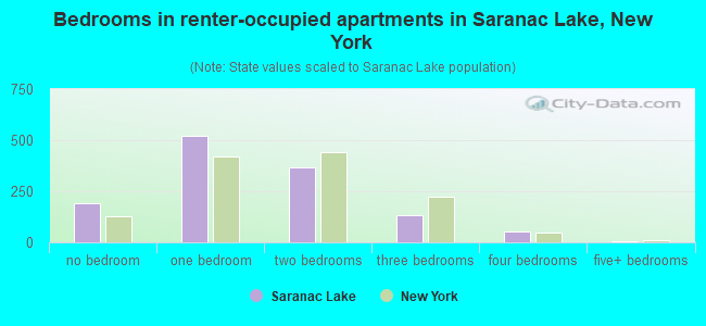Bedrooms in renter-occupied apartments in Saranac Lake, New York