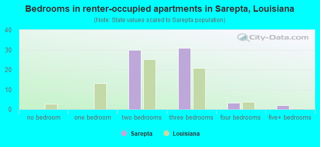 Bedrooms in renter-occupied apartments in Sarepta, Louisiana