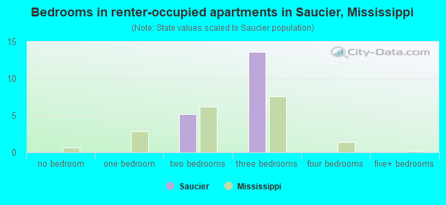 Bedrooms in renter-occupied apartments in Saucier, Mississippi