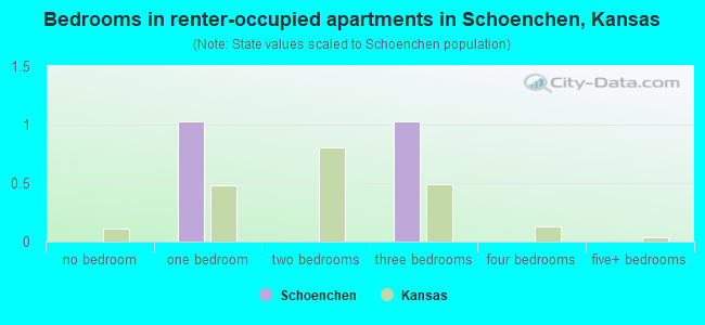 Bedrooms in renter-occupied apartments in Schoenchen, Kansas