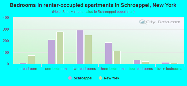 Bedrooms in renter-occupied apartments in Schroeppel, New York