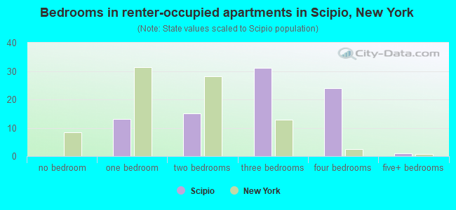 Bedrooms in renter-occupied apartments in Scipio, New York