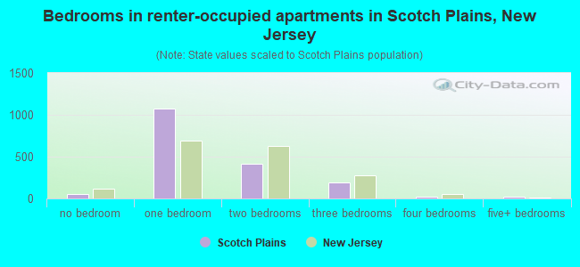 Bedrooms in renter-occupied apartments in Scotch Plains, New Jersey