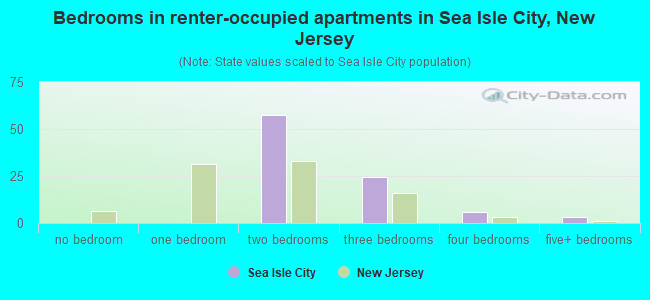 Bedrooms in renter-occupied apartments in Sea Isle City, New Jersey