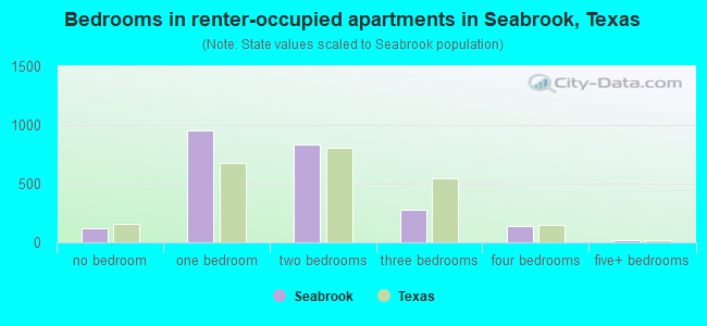 Bedrooms in renter-occupied apartments in Seabrook, Texas