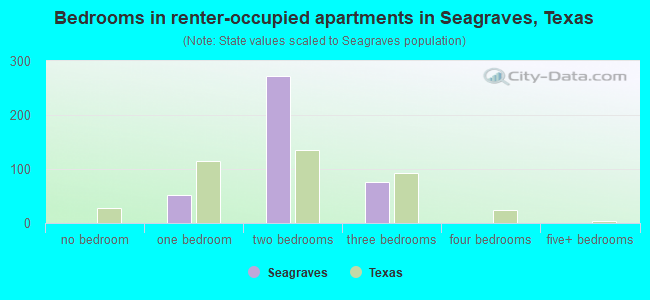 Bedrooms in renter-occupied apartments in Seagraves, Texas