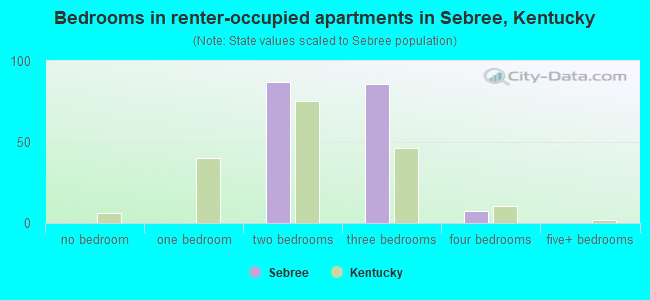 Bedrooms in renter-occupied apartments in Sebree, Kentucky