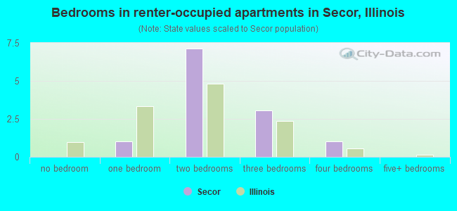 Bedrooms in renter-occupied apartments in Secor, Illinois