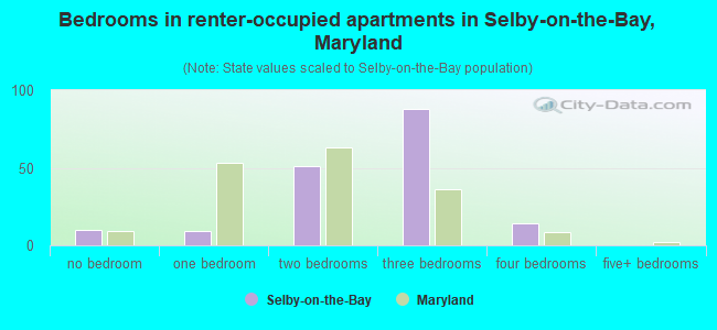 Bedrooms in renter-occupied apartments in Selby-on-the-Bay, Maryland
