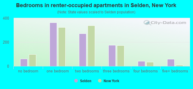 Bedrooms in renter-occupied apartments in Selden, New York