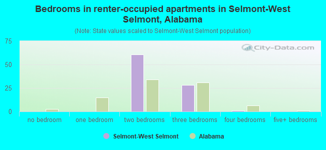 Bedrooms in renter-occupied apartments in Selmont-West Selmont, Alabama