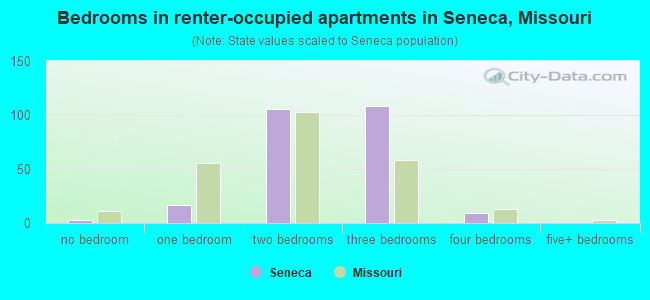 Bedrooms in renter-occupied apartments in Seneca, Missouri