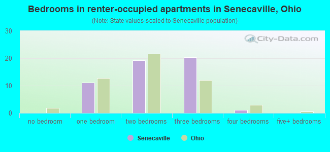 Bedrooms in renter-occupied apartments in Senecaville, Ohio