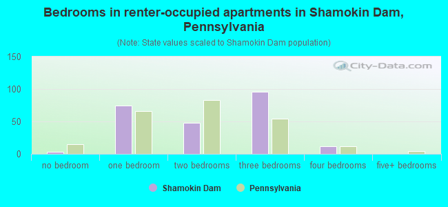 Bedrooms in renter-occupied apartments in Shamokin Dam, Pennsylvania