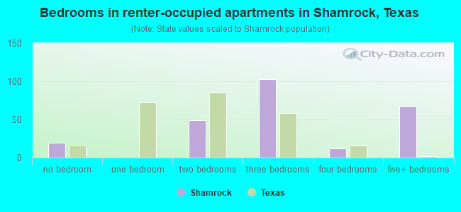 Bedrooms in renter-occupied apartments in Shamrock, Texas