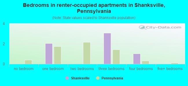 Bedrooms in renter-occupied apartments in Shanksville, Pennsylvania