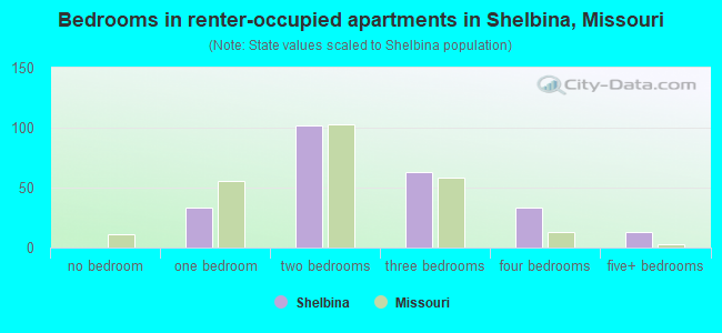 Bedrooms in renter-occupied apartments in Shelbina, Missouri