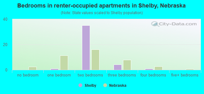 Bedrooms in renter-occupied apartments in Shelby, Nebraska