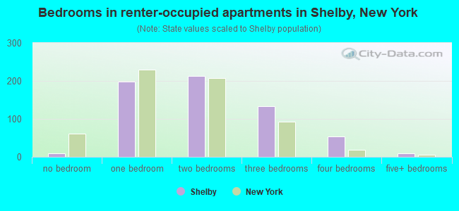 Bedrooms in renter-occupied apartments in Shelby, New York