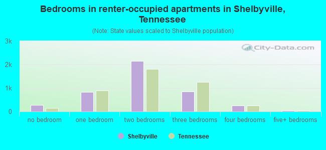 Bedrooms in renter-occupied apartments in Shelbyville, Tennessee