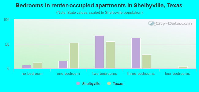 Bedrooms in renter-occupied apartments in Shelbyville, Texas