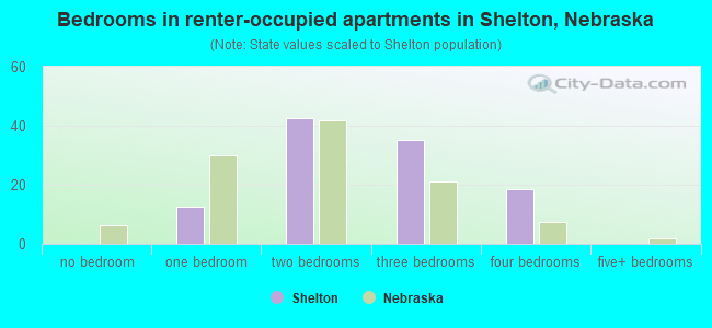 Bedrooms in renter-occupied apartments in Shelton, Nebraska