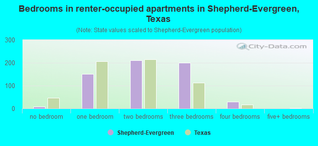 Bedrooms in renter-occupied apartments in Shepherd-Evergreen, Texas