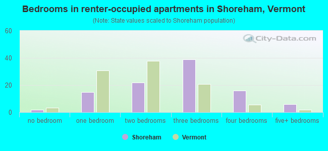Bedrooms in renter-occupied apartments in Shoreham, Vermont